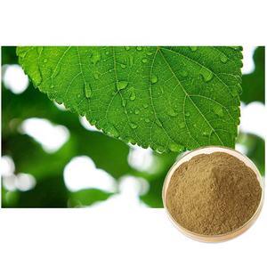 Заводская поставка, порошок экстракта коры клюквы mulberroside White Mulberry Cortex Mori - Product Image 6