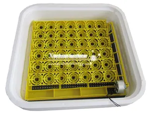 Incubadora para ovos de galinha/ovos de aves, incubadora com bandeja amarela, 42