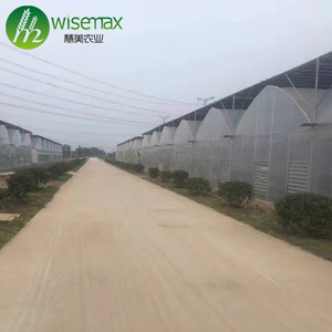 Serres professionnelles <span class=keywords><strong>de</strong></span> Pluie <span class=keywords><strong>Abri</strong></span> Utilisé dans les cultures Maraîchères - Product Image 6