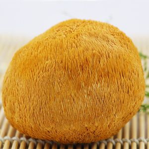 Detan सुपर प्रीमियम बनाने का कारखाना सूखे Hericium Erinaceus मशरूम - Product Image 2