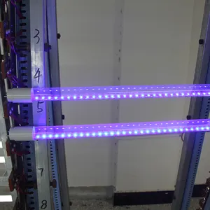 Tubo de luz de led colorido para barra, cor azul t8