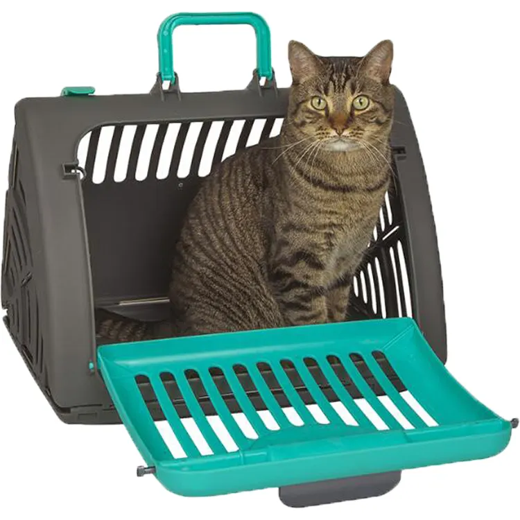 Özelleştirilebilir Pet kedi bagaj bavul pet hava seyahat çantası köpek kulübesi nefes katlanabilir hava taşıma pet çantası