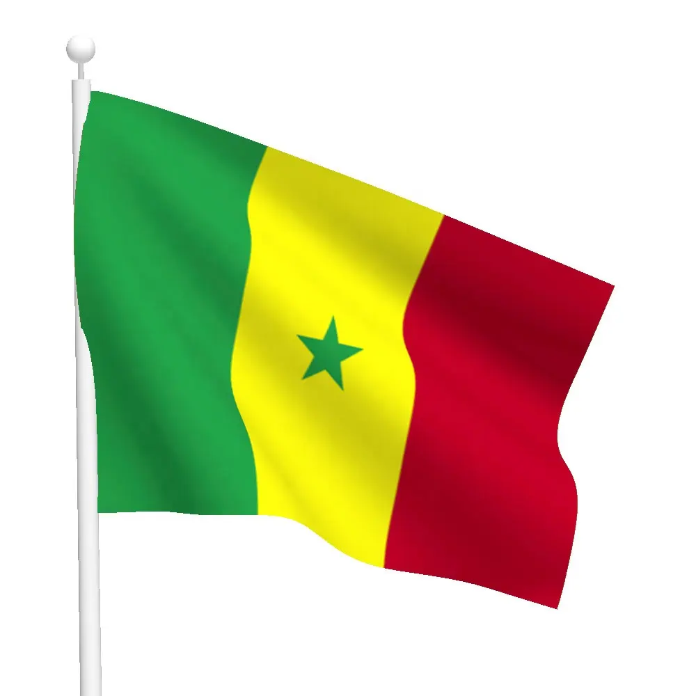 シルクスクリーン印刷大型カスタムグリーンイエローレッドセネガルアフリカ国旗