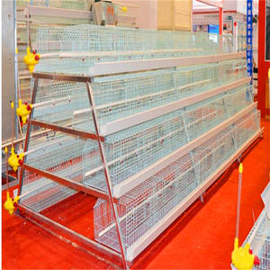 20 années approvisionnement Chine meilleur <span class=keywords><strong>vente</strong></span> <span class=keywords><strong>de</strong></span> poulet cage pour 1 poussins <span class=keywords><strong>d</strong></span>'<span class=keywords><strong>un</strong></span> <span class=keywords><strong>jour</strong></span> - Product Image 2