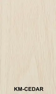 Rucca डब्ल्यूपीसी/लकड़ी और प्लास्टिक के समग्र आधुनिक सजावटी बाहरी दीवार पैनल 120*10mm