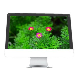 Giá Rẻ All-In-One Pc Máy Tính Để Bàn Tất Cả Trong Một 24 26 27 Inch Cong Bề Mặt I3 I7 I5 Máy Tính - Product Image 3