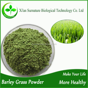 100% poudre de jus d'herbe d'orge verte biologique <span class=keywords><strong>en</strong></span> <span class=keywords><strong>vrac</strong></span> - Product Image 3