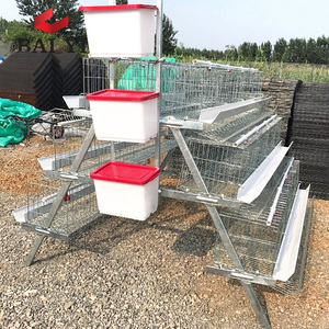 Enrichi Colonie Système <span class=keywords><strong>Cage</strong></span> À Volaille Pour Les Fermes - Product Image 2