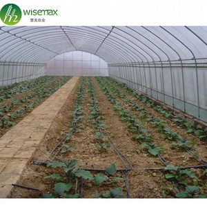 Giá Rẻ Đường Hầm Cao Duy Nhất Tuổi Thọ Prefab Thương Mại Nhà Kính Cấu Trúc - Product Image 6