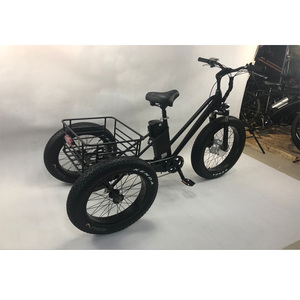 <span class=keywords><strong>Tricycle</strong></span> électrique à frein à disque pour adultes populaire en Europe 2018 avec 6 vitesses (FP-ETRI18001) - Product Image 4