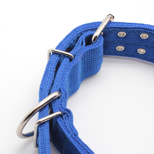 <span class=keywords><strong>Collar</strong></span> duradero de nailon para perros y adultos, doble botonadura, multicolor - Product Image 5