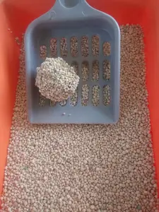 natural bentonite ball type clumping cat litter