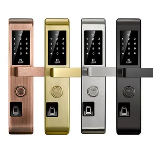 2022 nuovo arrivo prezzo di fabbrica SUS 304 Digital Smart APP BT Fingerprint Door Lock cinque in un modo di sblocco