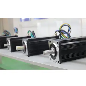 Fabrik preis servomotor hohe drehmoment niedriger drehzahl 24v 48v 1hp bürstenlosen dc motor für raupe chassis, automatische geführt fahrzeug