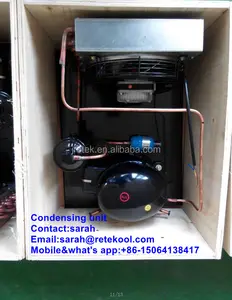 CHINA Manufacturer For Refrigeration Parts R134a R404a Small Condensing Unit With Compressor