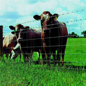 High Tensile Strength Tight Lock <strong>Mesh</strong> Deer <strong>Fence</strong> Horse <strong>Fence</strong> Wire Farm Field <strong>Fence</strong> - Product Image 4