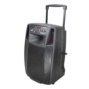 Cung Cấp Tất Cả Các Loại Cao Powered 15 Inch Xe Đẩy Loa Di Động Với Chất Lượng Cao - Product Image 2