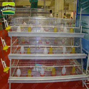 הנמכר ביותר חם כלוב דקורטיבי מתכת שכבה עוף כלוב אוטומטי סוללה כלוב מערכת בעופות
