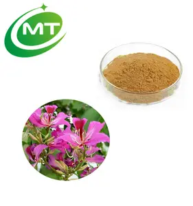 Venta caliente Bauhinia forficata EXTRACTO DE