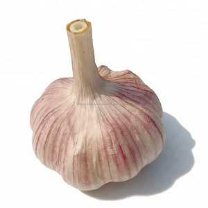 Cinese Rosso Fresco Aglio 5 cm di Esportazione per Spagnolo 10 kg Scatola di cartone - Product Image 3
