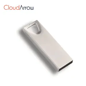 Portable 2GB USB Flash Disk for Promotion