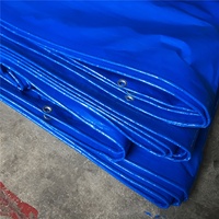 Bâche en polyéthylène haute densité imperméable bleue pour aquarium, bassin d'eau, réservoir