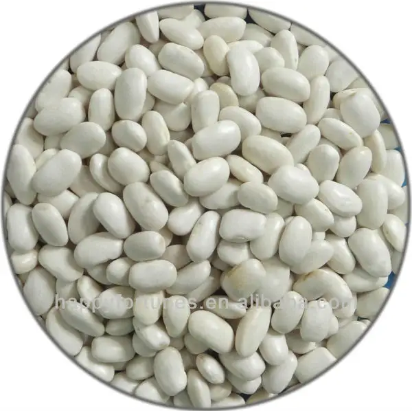 白インゲン豆の正方形/MWKB