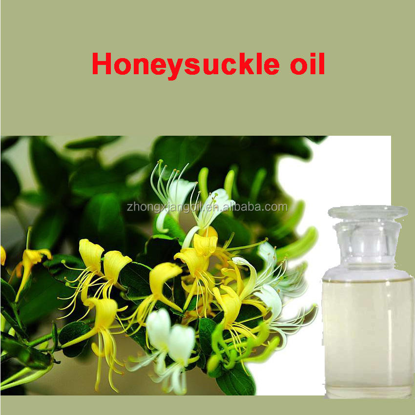 100% Pure Honeysuckle Essential Oil Natural Versatile
