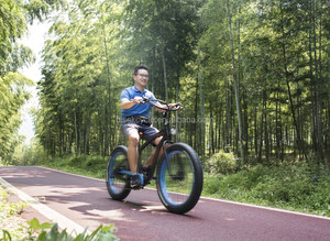 High speed electric 3 wheel bike for North amã©Retical market - Product Image 6