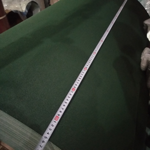 <span class=keywords><strong>RAL</strong></span> 6020 renk kaplı mat desen <span class=keywords><strong>ppgi</strong></span> çelik bobinleri - Product Image 4