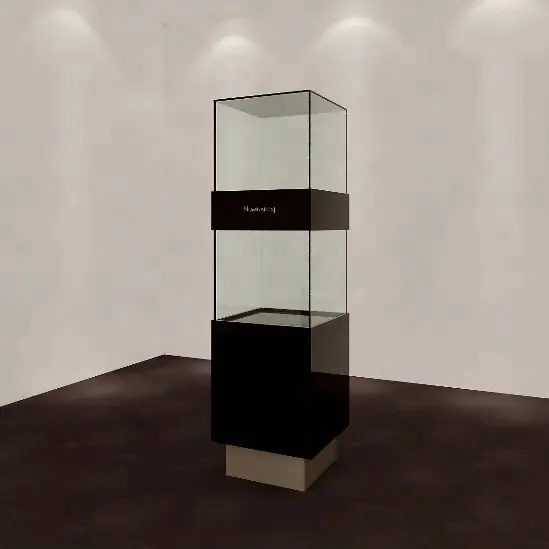 Free design high quality fashion jewellery showcase used for casios watch display stand