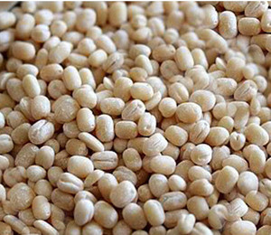 Proveedor <span class=keywords><strong>de</strong></span> China, peladora <span class=keywords><strong>de</strong></span> gramos negros, peladora <span class=keywords><strong>de</strong></span> frijoles urad <span class=keywords><strong>de</strong></span> gramo <span class=keywords><strong>de</strong></span> <span class=keywords><strong>caballo</strong></span>, hecha en China - Product Image 5