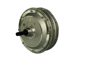 Small Lithium Motorcycle Wheel Hub Motor