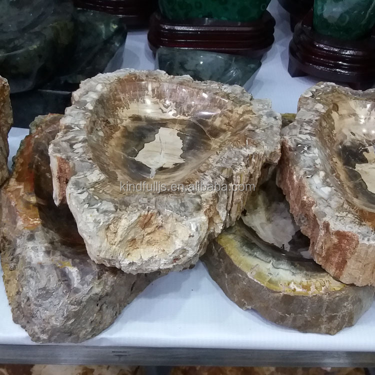 Natural Wood Fossil Slice Polished Wooden Petrified fossil Pieces for Deco · image 3