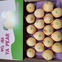 Baies fraîche en plastique transparent, fruits, livraison gratuite