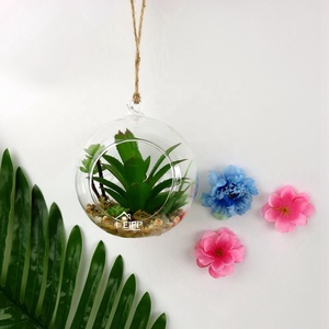 <span class=keywords><strong>Verre</strong></span> <span class=keywords><strong>Suspendue</strong></span> <span class=keywords><strong>Boule</strong></span> Vase Terrarium Conteneur Avec <span class=keywords><strong>Plante</strong></span> Succulente Artificielle Pour La Maison Ou Le Jardin Ornement - Product Image 4