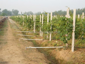 Lintel de hormigón, pretensión, <span class=keywords><strong>precio</strong></span> de máquina para poste de hormigón/Pilar de hormigón - Product Image 5