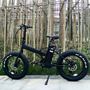 Hasky 20 pulgadas de tamaño, plegable hub <span class=keywords><strong>chica</strong></span> <span class=keywords><strong>bicicleta</strong></span> eléctrica - Product Image 1