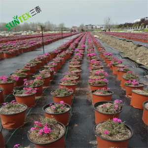 Tapis de mauvaises herbes en plastique tissé 90g pour les pépinières et les serres pour empêcher la croissance des mauvaises herbes <span class=keywords><strong>tissu</strong></span> de paysage de jardin - Product Image 3