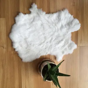 Soft Natural Rex Rabbit Fur Skins & Dyed Rex Rrabbit Fur Skins