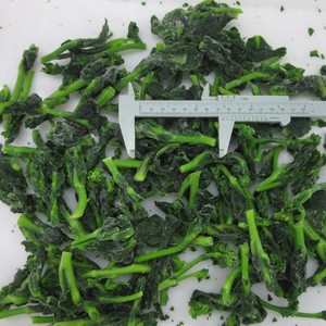 Fábrica China de flores de Rape congeladas cultivadas en <span class=keywords><strong>verduras</strong></span> <span class=keywords><strong>IQF</strong></span> - Product Image 4