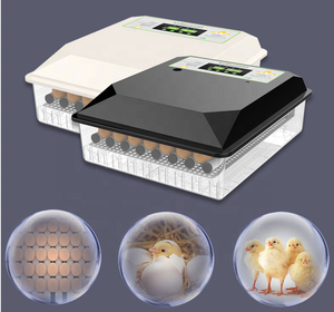 Máy Ấp Trứng Mini Tự Động Hoàn Toàn Lò Ấp Trứng Gà 64 Gia Đình Trung Quốc - Product Image 2