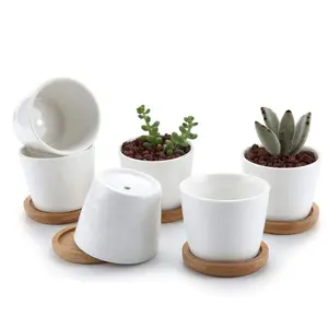 Keramik Plain White Cactus Blumentopf Runde Form Blumentopf mit kostenlosem Bambus Tablett