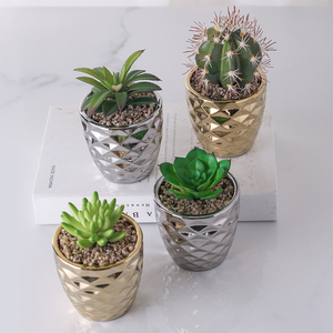 Piante Decorative <span class=keywords><strong>In</strong></span> <span class=keywords><strong>vaso</strong></span> Mini <span class=keywords><strong>Cactus</strong></span> artificiali per la casa <span class=keywords><strong>In</strong></span> <span class=keywords><strong>vaso</strong></span> Color oro e argento per arredamento ufficio da tavolo - Product Image 3