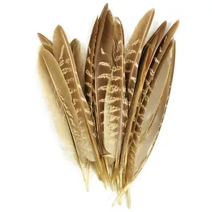 Groothandel Trouwbedankjes Goose Wing Decoratieve Party Gold Veren