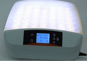 HHD 2019 Vente chaude Incubateur entièrement automatique EW-56S pour 56 œufs solaires pour œufs <span class=keywords><strong>de</strong></span> <span class=keywords><strong>faisan</strong></span> avec fonction <span class=keywords><strong>de</strong></span> candélage des œufs - Product Image 5