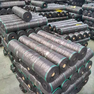 Manufacturer Agricultural Black Plastic Ground Cover Mesh Fabric / PP Woven Grass Weed Control Mat