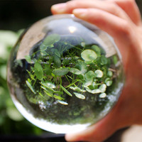 Sphère de boule de guérison solide en cristal de verre clair de taille différente personnalisée K9 40mm pour la décoration de la maison