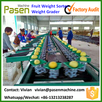 Kiwi Gewicht Sorteren Machine/Machine te Sorteren Kiwi/Chinese Kruisbes Grading Machine