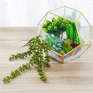 Maison & Décoration Florale Artificielle Mini Cactus Succulentes Plante Du Désert - Product Image 2
